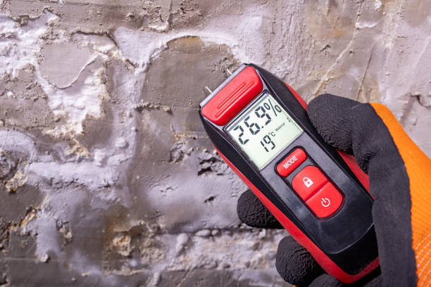 Best Commercial Mold Removal  in Taft, TX