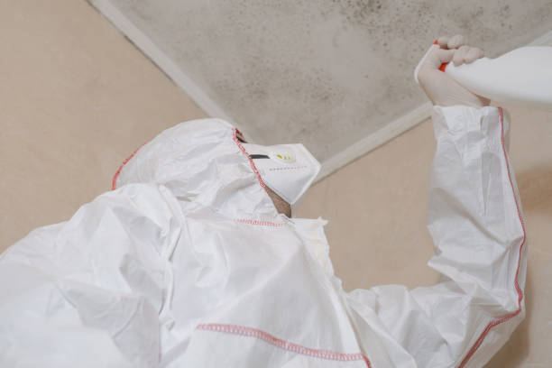 Best Certified Mold Removal  in Taft, TX