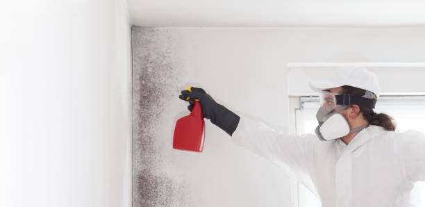 Best Crawl Space Mold Removal  in Taft, TX